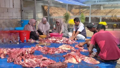 Qurban Barokah! Bu Erna dan Keluarga Kembali Berkurban 6