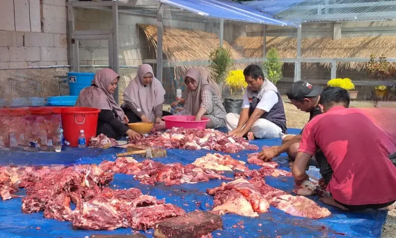 Qurban Barokah! Bu Erna dan Keluarga Kembali Berkurban 6